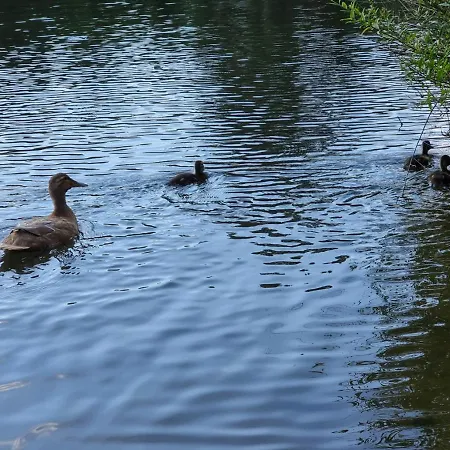Altes Eishaus, & Restaurant Gießen
