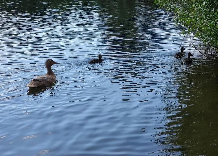 Altes Eishaus, & Restaurant Gießen