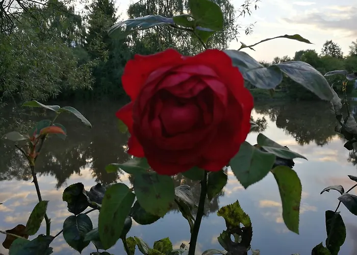 Altes Eishaus, & Restaurant Ξενοδοχείο Gießen